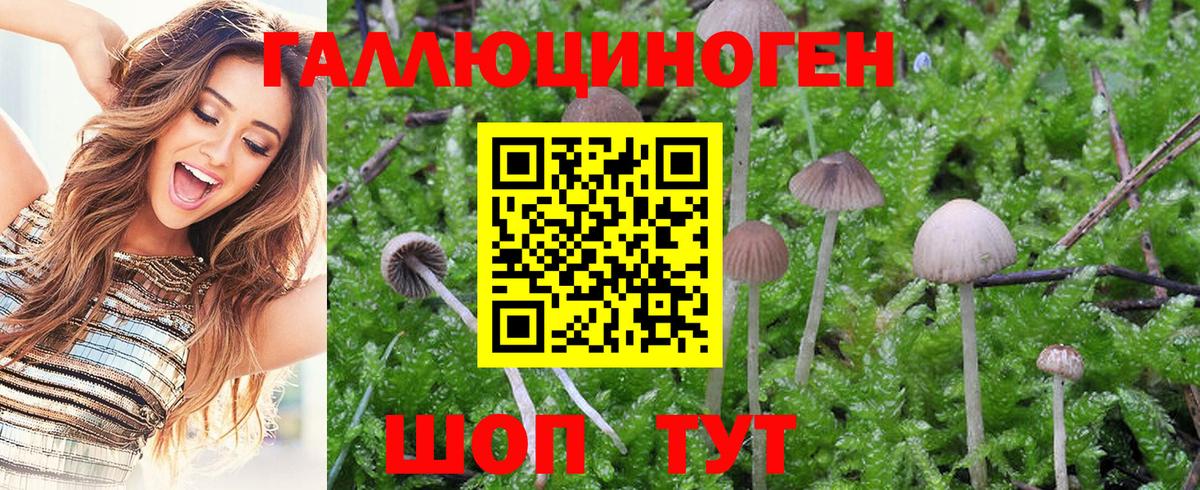 Псилоцибиновые грибы MAGIC MUSHROOMS Лангепас