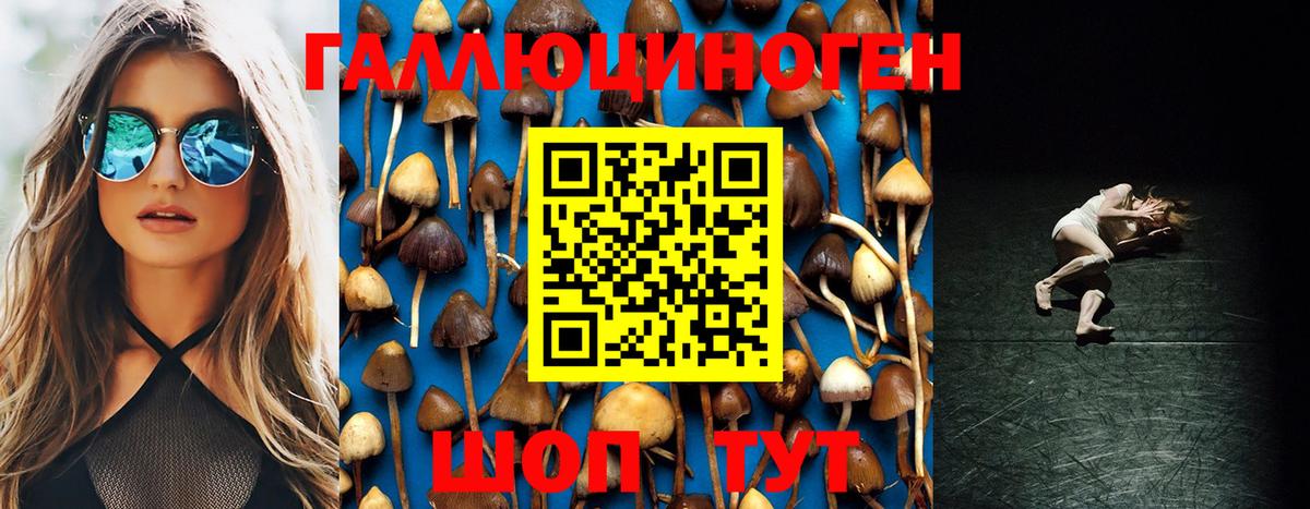 Лангепас  Галлюциногенные грибы Psilocybe  Вход с VPN 